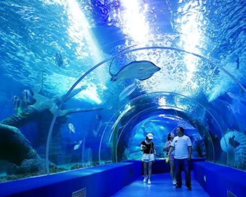 Hoja de acrílico de fundición gruesa gran panel transparente para acuario túnel de acuario ventanas de visión submarinas